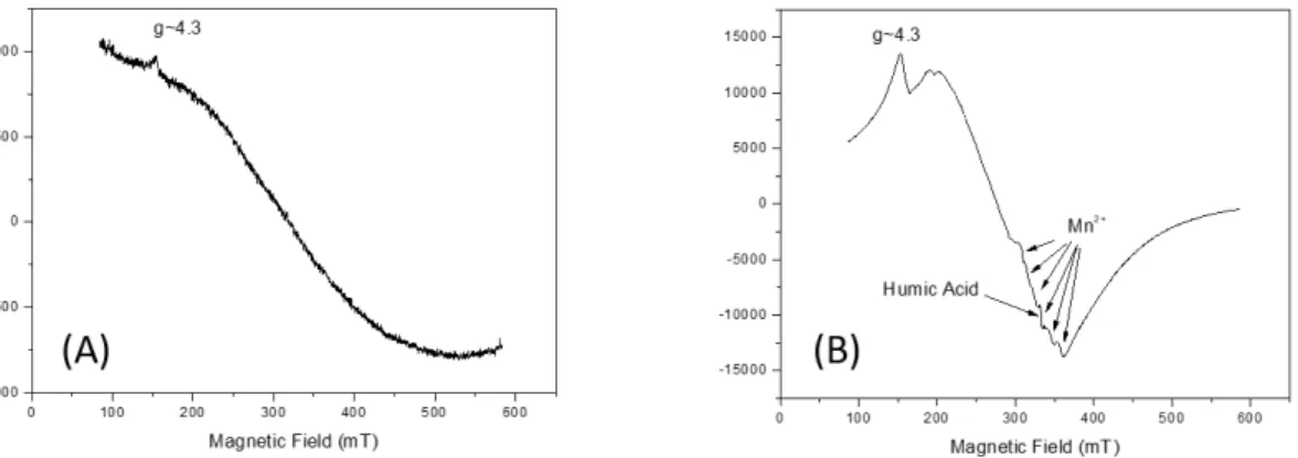 Figure 5. ESR spectrum of the water sample, where the presence of iron (A) is noted. The  ESR spectrum of sediment sample shows the presence of iron, traces of manganese, as  indicated, and the presence of humic acid in the g~2 region (g-factor = 1.9976 ± 