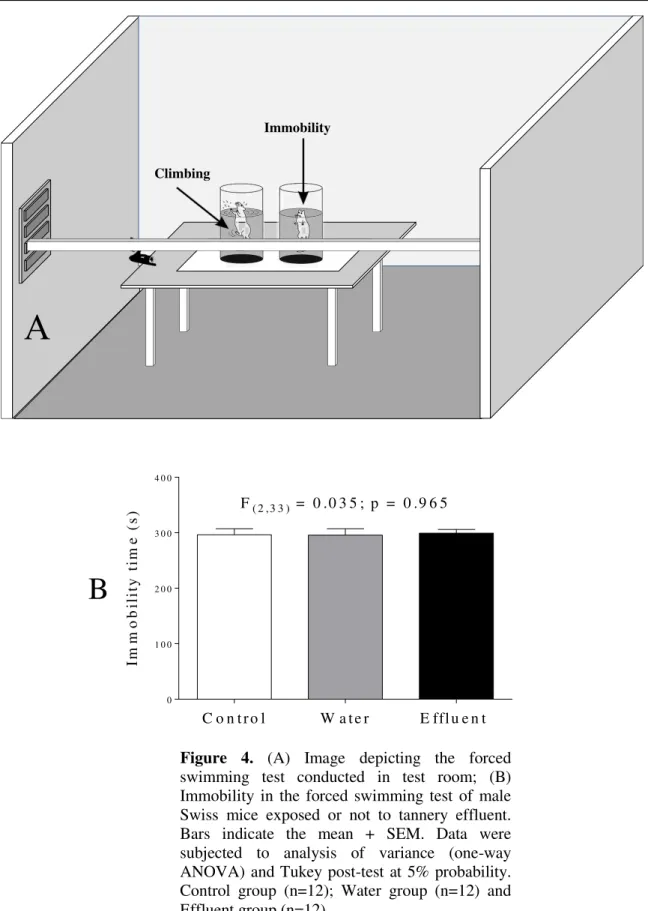 Figure  4.  (A)  Image  depicting  the  forced  swimming  test  conducted  in  test  room;  (B)  Immobility  in  the  forced  swimming  test  of  male  Swiss  mice  exposed  or  not  to  tannery  effluent