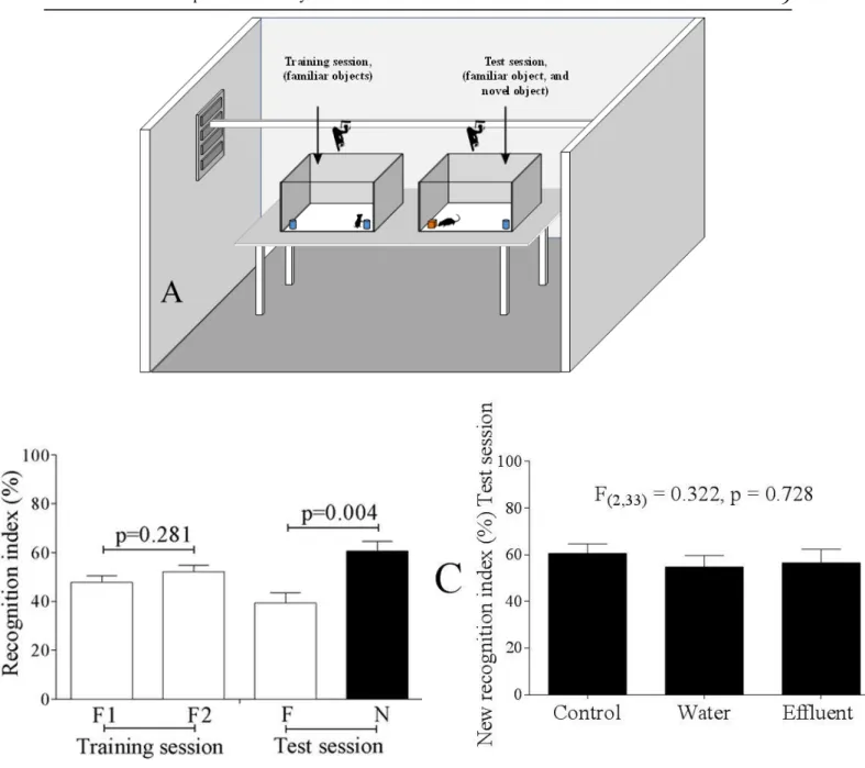 Figure 3. (A) Image depicting the object recognition test performed in the test room; (B) Object recognition indices of male  Swiss  mice  not  exposed to  tannery  effluent  (control group),  and (C)  Novel  object recognition  indices  of male  Swiss  mi
