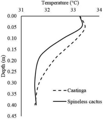 Figure  4.  Soil  temperature  profile  of  the Caatinga and the spineless cactus,  on September 27, 2016, at 12 o'clock