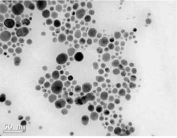 Figure  2  shows  a  transmission  electron  microscopy  (TEM)  image  of  the  silver  nanoparticles