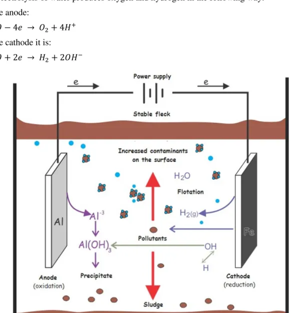 Figure 1. Interactions in the electrocoagulation process (Mollah, 2004).