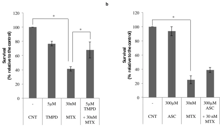 Figure 5 – Effect of TMPD or ascorbate (ASC) in combination with MTX on cell  viability