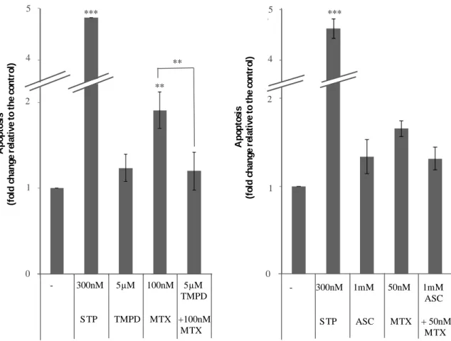 Figure 6 – Effect of TMPD and ascorbate (ASC) on apoptosis induced by MTX. 