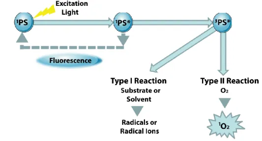 Figure 2. PDT Principle under photo-physical and -chemical points of view 