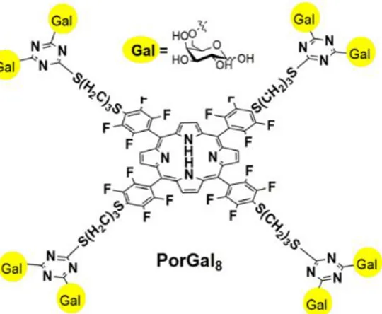 Figure  3.  Schematic  representation  of  PorGal 8 ,  a  porphyrin  conjugated  with  four  dimeric  structures of galactose (Silva et al