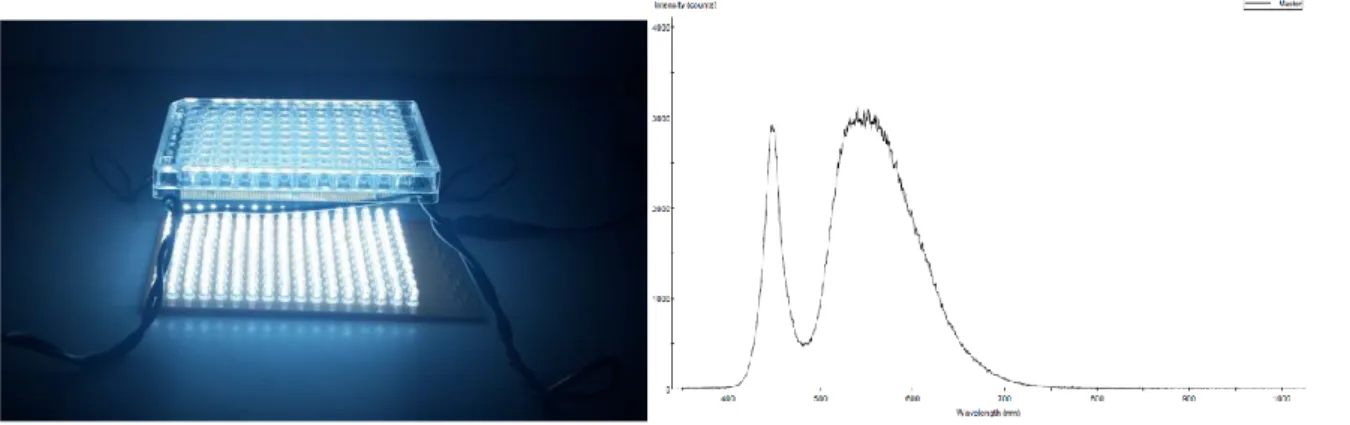 Figure 4. (Left)  Representative  image  of  LED  array system  and  (Right)  Emission  spectra  of  the  LED array system used in the irradiation assays