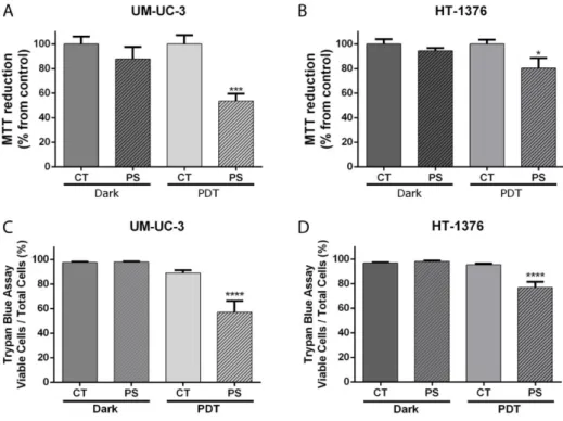 Figure  6.  PorGal 8   is  nontoxic  in  darkness  and  induces  toxicity  after  its  photoactivation in  UM- UM-UC-3 (A, B) and HT-1376 (C, D) cells