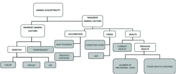 Figure 5 - Schematic of animal susceptibility used to develop a hierarchal knowledge-based fuzzy inference systems (FIS).