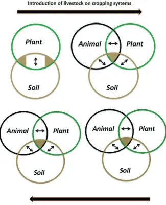 Figure 1 - Conceptual diagram of soil-plant and soil-plant-animal  relationships in production systems that integrate the  animal  component  into  purely  agricultural  systems  or  integrate  the  crop  component  into  purely  pastoral  systems (Carvalh