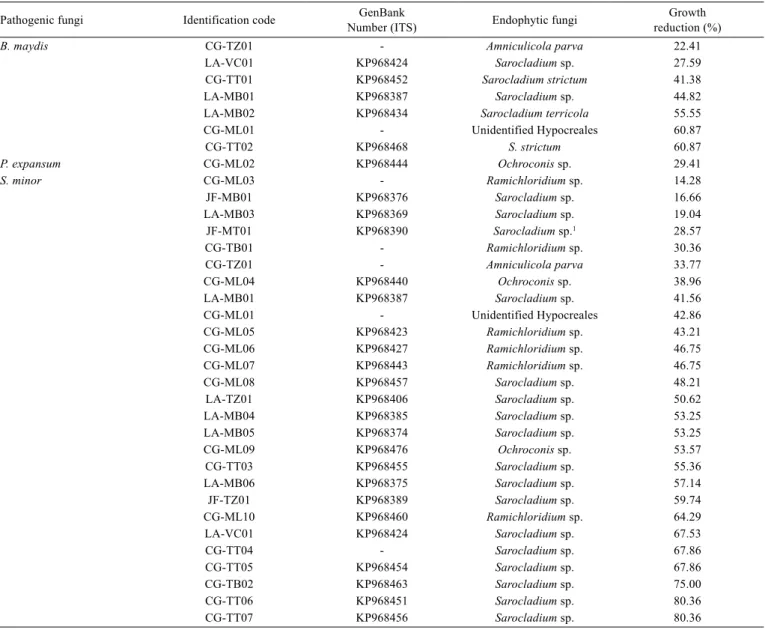 Table 2 - Antagonism test of P. maximum and P. purpureum endophytes against some phytopathogens