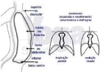 Figura 4 – Respiração desenvolvida no Yôga: respiração completa (Retirado de: http://yoga- http://yoga-namaskar.blogspot.com/2009/09/respiracao-completa.html )