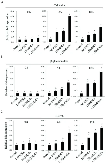 Table 3 - Effect of different vitamin D 3  metabolites on growth performance of 21-day-old broilers