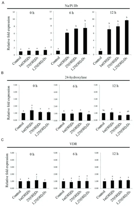 Table 4 - Effect of different vitamin D 3  metabolites on tibia, serum calcium, and phosphate levels and breaking strength in broilers Control (n = 12) 1α(OH)D 3  (n = 12) 25(OH)D 3  (n = 12) 1,25(OH) 2 D 3  (n = 12)