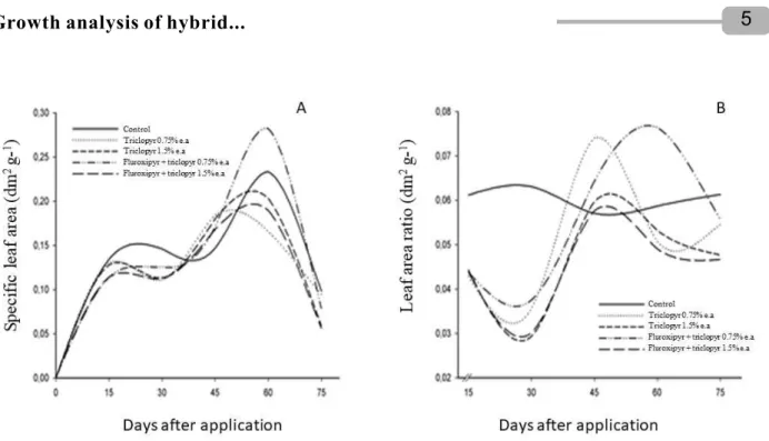 Figure 2 – Specific leaf area - SLA (A) and leaf area ratio - LAR (B) of the hybrid E