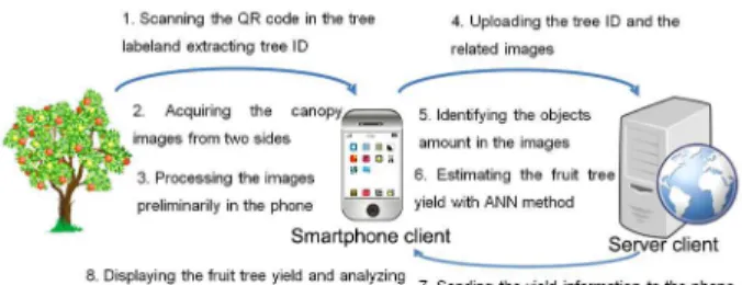Figure 1 – Application framework of a smartphone-based apple  potential yield estimation combing smartphone client and server  client with 8 main steps.