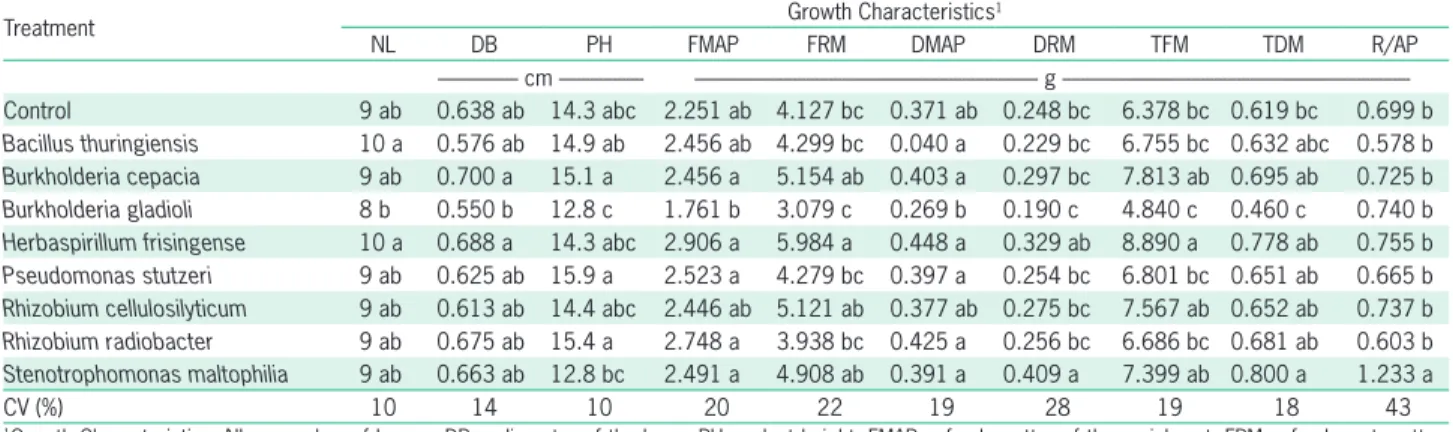 Table 2 – Cymbidium sp. growth characteristics in response to inoculation of plant growth-promoting bacteria.