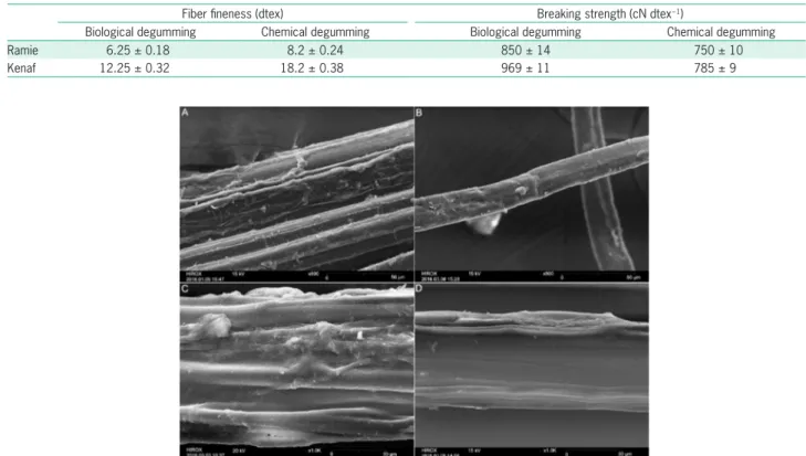 Table 3 − Comparison on mechanical characteristics of degummed bast fibers. 