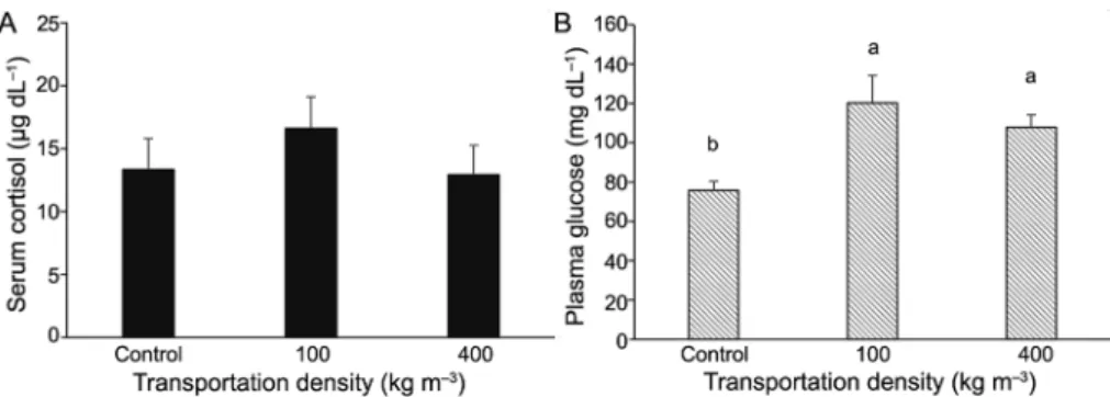 Table 4 – Sensory attributes 1 , acceptability index and purchase intent 2  for Nile tilapia fillets transported for 180 min at densities of 100 or 400  kg m –3 .