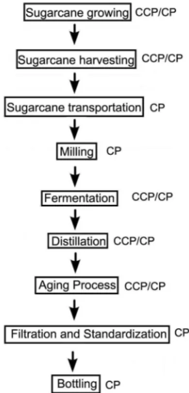 Figure 1 – Flowchart of the production process of cachaça; CCP =  critical control point; CP = critical point.