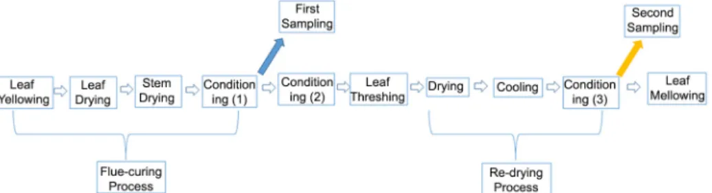 Figure 1 – The process stages for flue-cured tobacco.