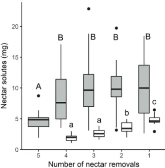 Figure 4.  Nectar removal effects on total fruit mass (mg of  complete fruits) of Nicotiana alata (grey) and N