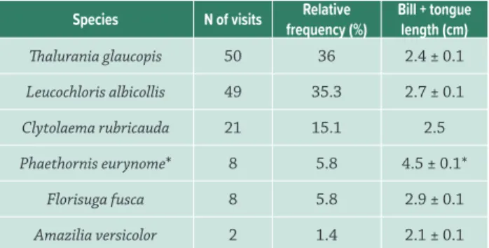 Table 1.  Bill plus tongue length (from Vizentin-Bugoni et al. 2014)  and relative frequencies of the pollinators of Vriesea altodaserrae  after 90h40min of focal observations during the flowering seasons  of 2010, 2012 and 2014 at Santa Virgínia Field Sta