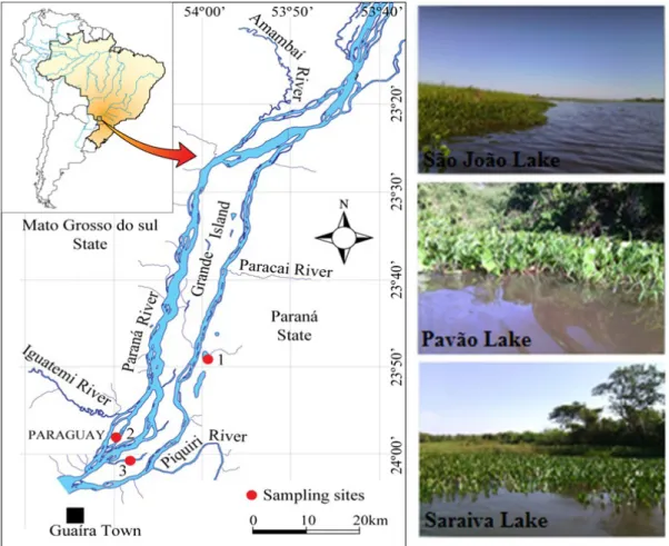 Figure 1. Upper Paraná River floodplain and location of the sampling Lakes. 