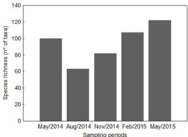 Figure 5. Temporal variation in total species richness  during the sampling periods. May (May/2014)  August (Aug/2014), November (Nov/2014), February  (Feb/2015) and May (May/2015).