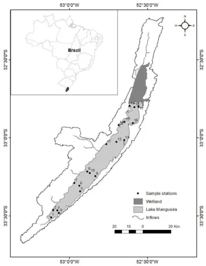 Figure 1. Map and location of Lake Mangueira, South Brazil and the respective sampling stations (black dots).