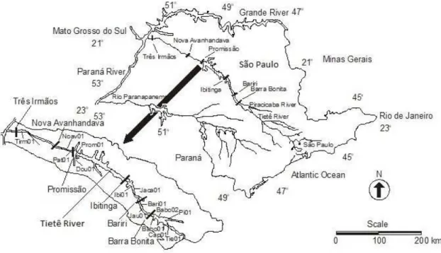 Figure 1. Location of the reservoirs, main tributaries and distribution of the sampling stations in the Tietê River, SP.