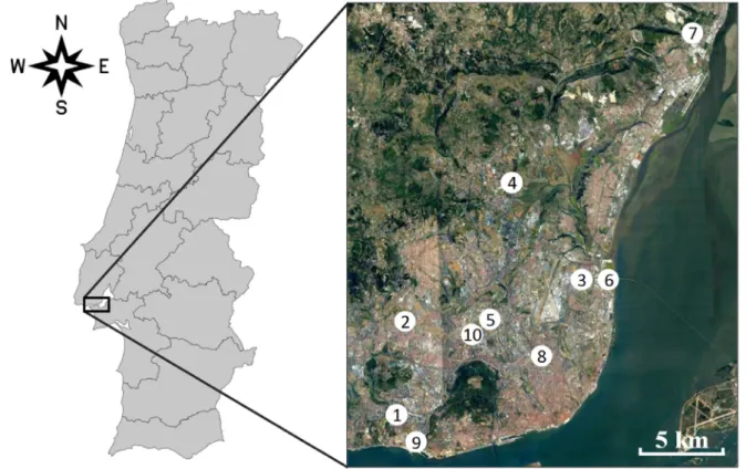 Fig. 1. Location of the studied dwellings in the Lisbon district, Portugal.
