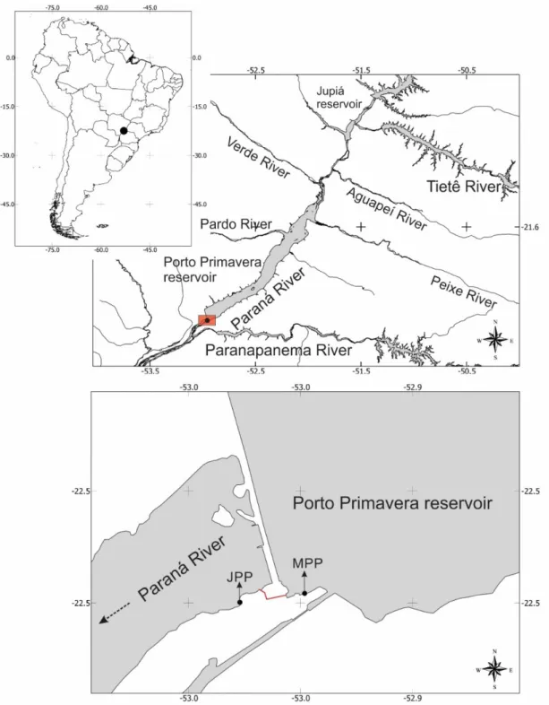 Figure 1. Location of Porto Primavera dam and its fishway (in red), as well as the two sampling sites downstream  (JPP) and upstream (MPP) of the dam.