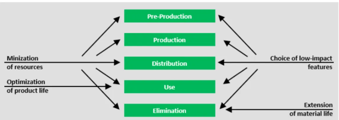 Figure 1 - Biomóvel’s Processes 