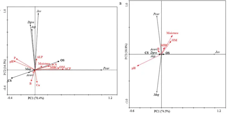 Figure 4. Relationship between the principal component 1 (PC1) and the principal component 2 (PC2), taking into account the organic (OS) and conventional  farming system (CS), the earthworms (