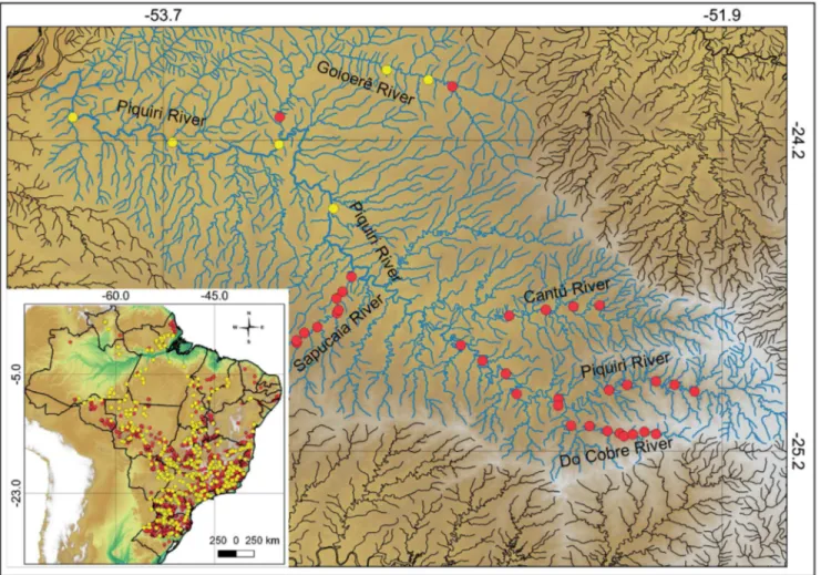 Figure 4. Map showing the locations of small power plants (SPPs, red dots) and power plants (PPs, yellow dots) predicted in Brazil, mainly within the Piquiri  River basin (catchment area in blue)