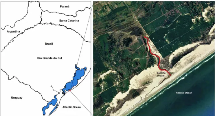 Figure 1. Location of Estreito stream and the sampled stretch (in red).