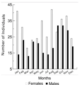 Figure 4. Weight/length relationship for H. eques females and males in Paraguay River from February 2009 to January 2011.