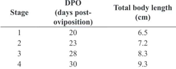 Table 1. Include number of stages, days post-oviposition,  and total body lengths.