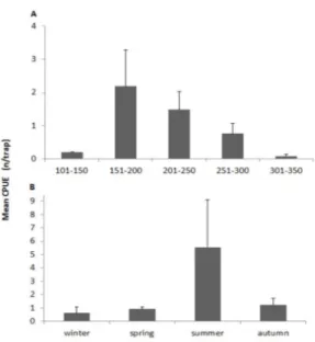 Figure 1. Mean abundance and standard error of  Plesionika  narval caught in Madeira archipelago,  Northeastern Atlantic, between 2004 and 2008 per depth  stratum (A) and season (B).