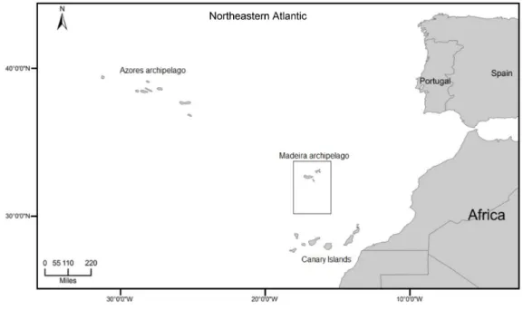 Figure 1. Geographic location of the study area, Madeira archipelago, Northeastern Atlantic.