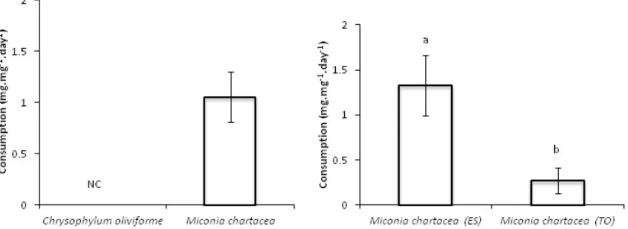 Figure 2. Feeding preference of Phylloicus sp. for leaves of Miconia  chartacea and Chrysophylum oliviforme when  conditioned in stream waters of Cerrado and Mata Atlantica biomes