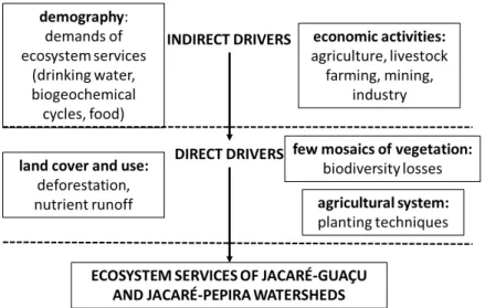 Figure 6. Influence of main direct and indirect drivers on the provision of multiple ecosystem services, in Jacaré-Guaçu and  Jacaré-Pepira Watersheds.