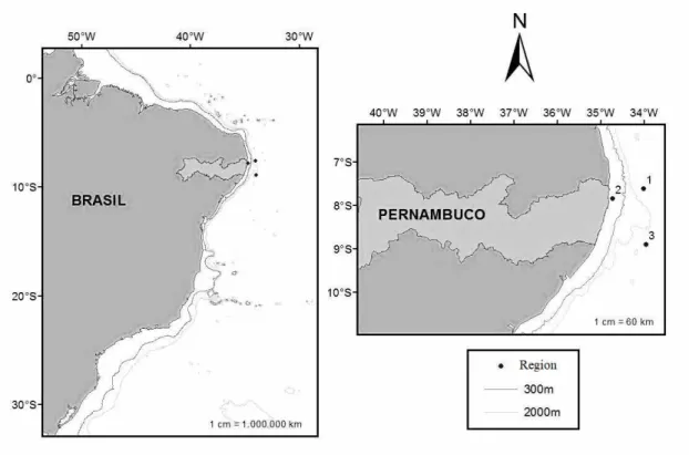Figure 1. Location of the three sites (1, 2 and 3) of capture of 120 specimens of Pseudupeneus maculatus used in this study.