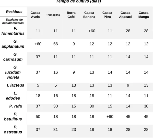 Tabela 3- Meios de cultura sólidos, espécies fúngicas que apresentaram crescimento e respectivos  tempos de cultivo 