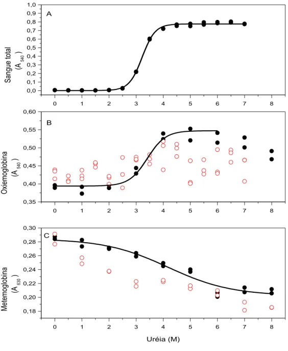 Figura 2.1.  Efeitos da uréia sobre a estabilidade de eritrócitos (A),  de oxiemoglobina  (B)  e  de  metemoglobina  (C),  de  origem  humana,  em  0.9  g/dL  NaCl  (  )  e  em  água  (  )