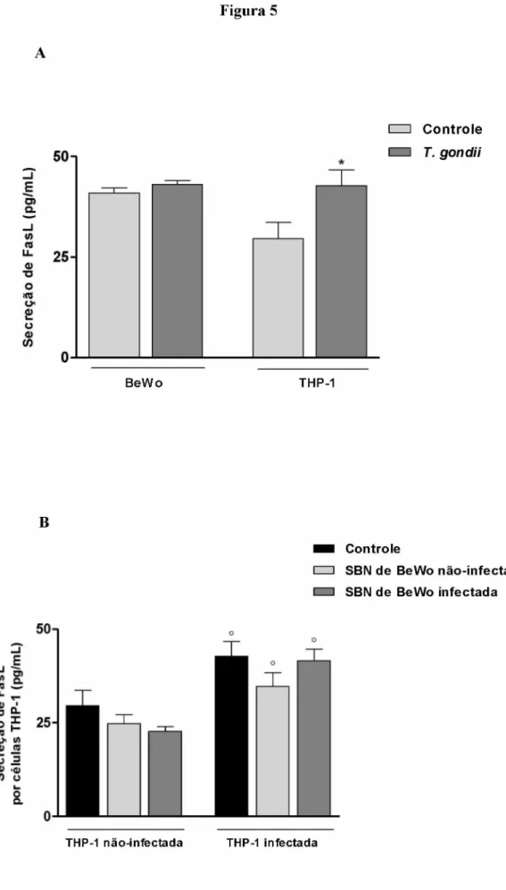 Figura 5 A BeWo  THP-1 Controle T. gondii B Controle I  I  SBN de  BeWo não-infectada  I  I  SBN de  BeWo  infectada THP-1  não-infectada  TH P -1  infectada