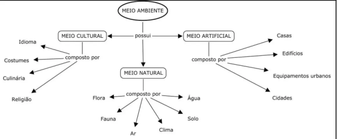 Figura 3: Elementos do meio ambiente 