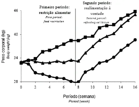 Figura  1  – Alteração  no  peso  corporal  durante  os  períodos  de  restrição  alimentar  e  de  realimentação  (ganho  compensatório)  em  cordeiras  na  fase  de  recria  (HOMEM  JUNIOR  et   al., 2007)