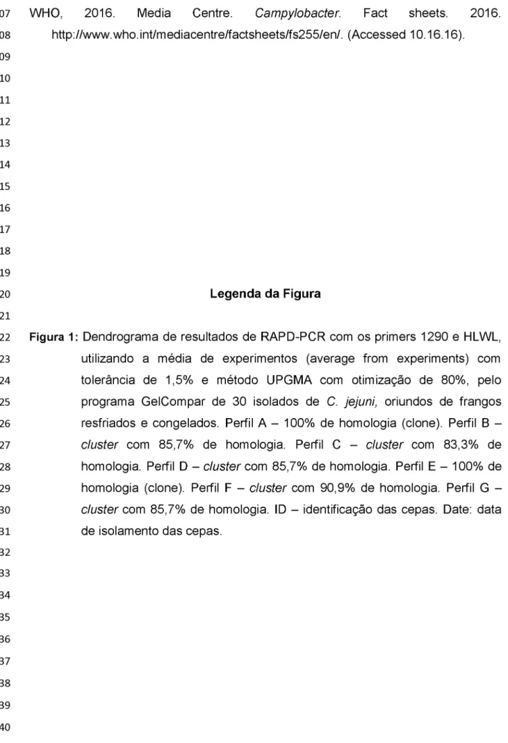 Figura 1:  Dendrograma de resultados de  RAPD-PCR com  os primers  1290 e  HLWL,  utilizando  a  média  de  experimentos  (average  from  experiments)  com  tolerância  de  1,5%  e  método  UPGMA  com  otimização  de  80%,  pelo  programa  GelCompar  de  3